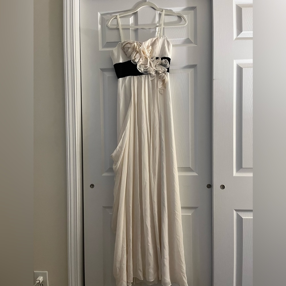 BCBGMaxAzria Long Evening Strapless Dress